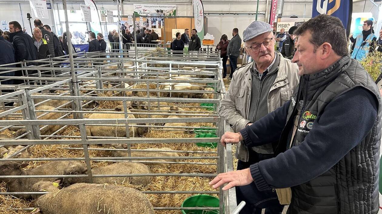 Tech’élevage de La Roche-sur-Yon : l’inquiétude sanitaire dans toutes les allées