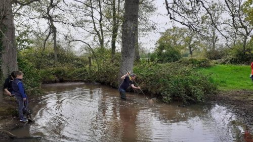 Pré-Bocage intercom défend les mares et les éleveurs touchés par la tuberculose bovine