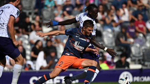 Ligue 1. La rencontre Toulouse-Montpellier interrompue 15 minutes après un usage de gaz lacrymogène