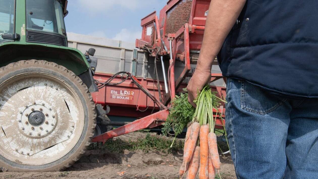 Le label Haute valeur environnementale sous le feu des critiques