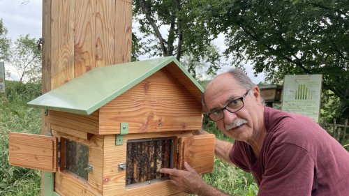 À Laval, le rucher pédagogique sera inauguré ce samedi : une visite découverte proposée