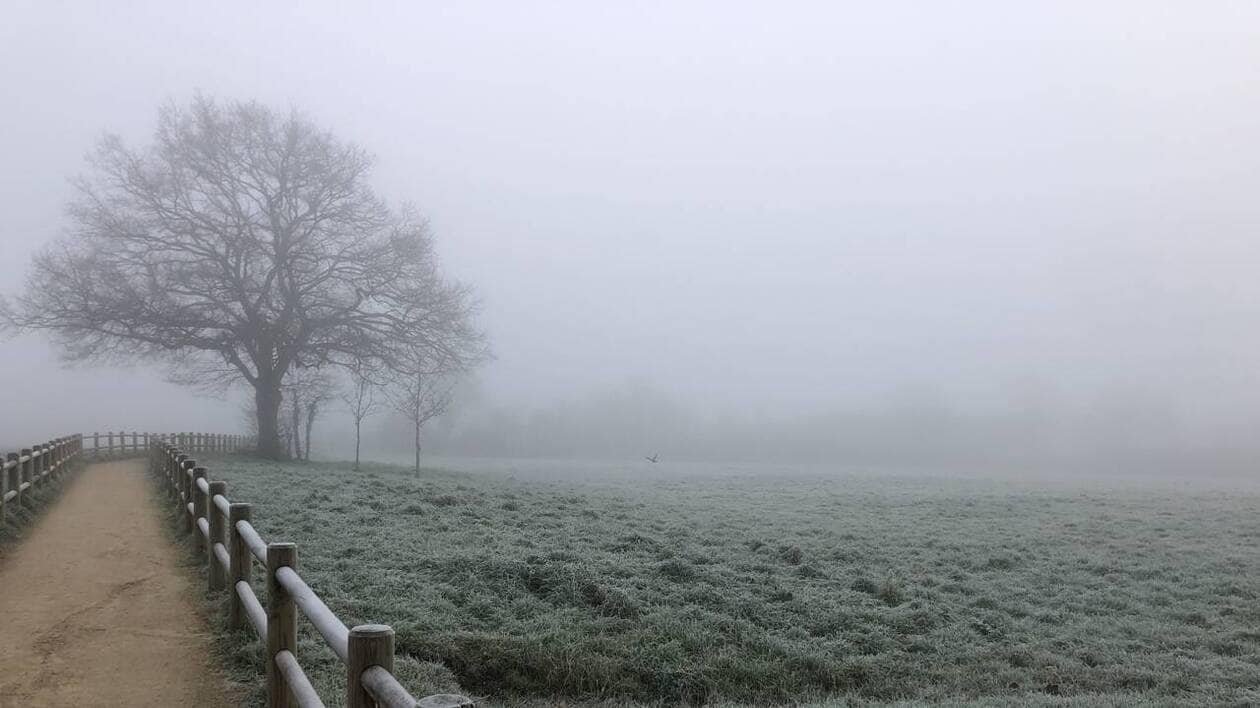 Même pas 20 heures de présence : le soleil a fui ce département de l’Ouest depuis quatre semaines