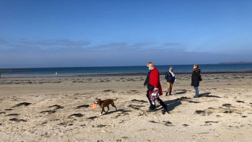 Les chiens à la plage : oui, non, pas du tout, un peu… le sujet fait débat à Saint-Malo