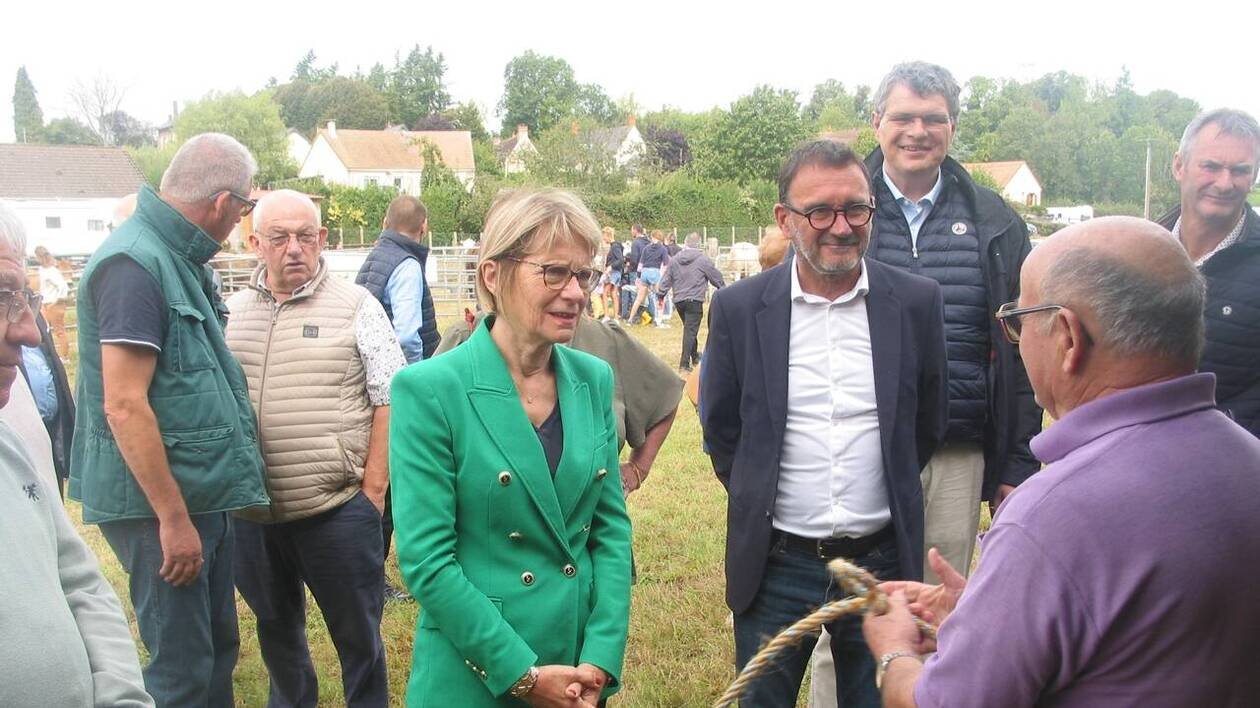 Cent sept animaux présentés au comice agricole du pays de Gacé