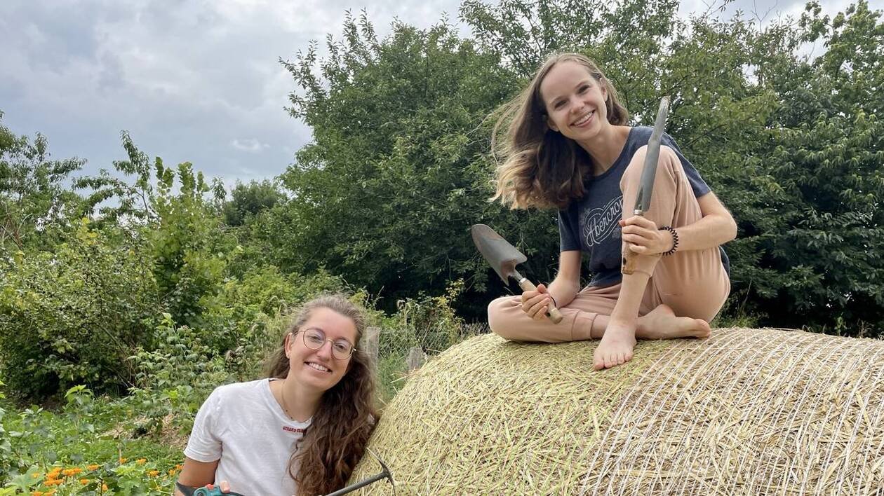 « Sortir de sa zone de confort » : à 23 ans, elles ont fait du Wwoofing pendant deux semaines