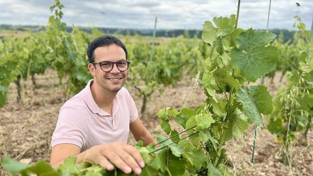 200 000 bouteilles avaient été perdues lors d’un incendie : ce vigneron renaît avec un « grand vin »