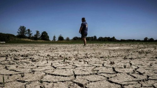 Le nord de la France déjà en proie à la sécheresse, une partie de l’Ouest en situation délicate