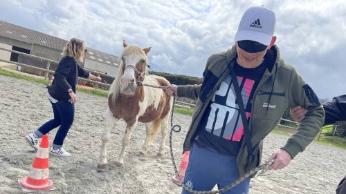 En Bretagne, ces personnes éloignées de l’emploi reprennent confiance aux côtés des chevaux