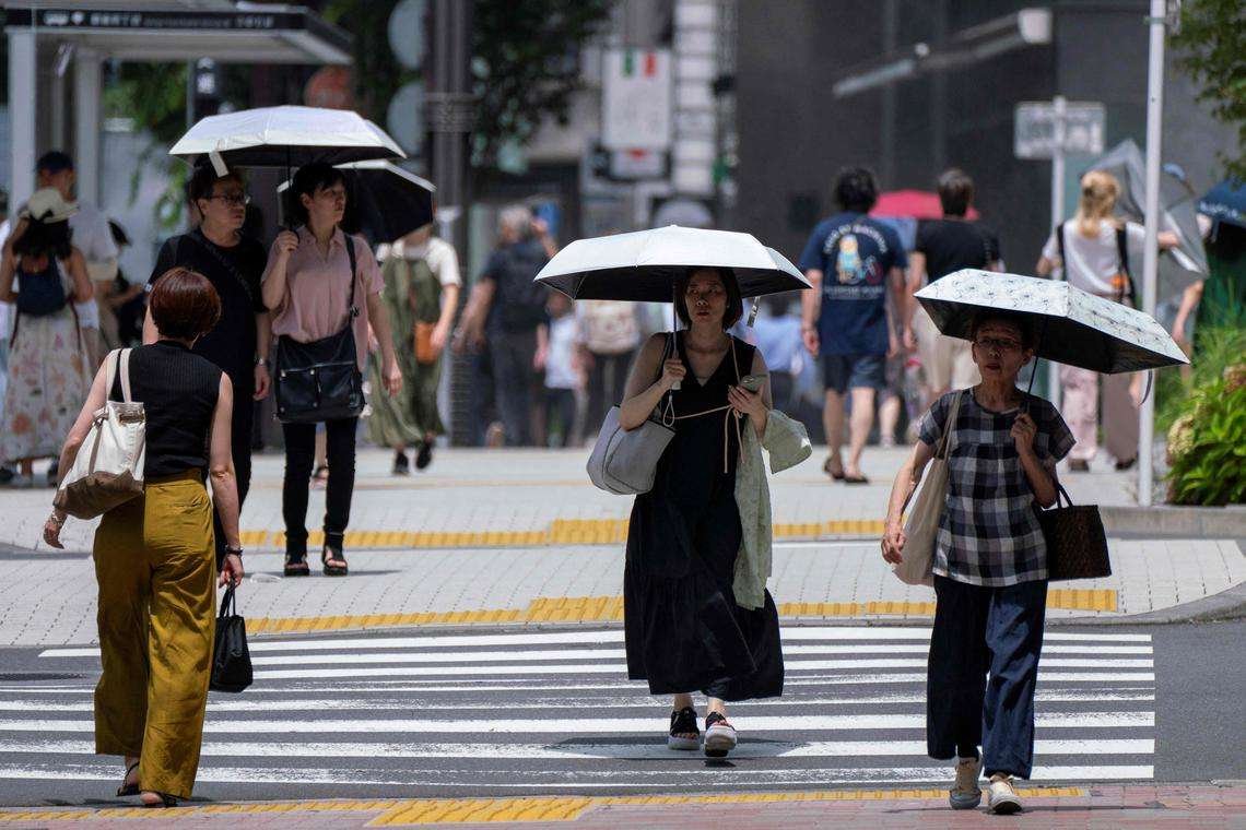 Japon : canicule historique avec 17 records de chaleur, agriculture et environnement en alerte