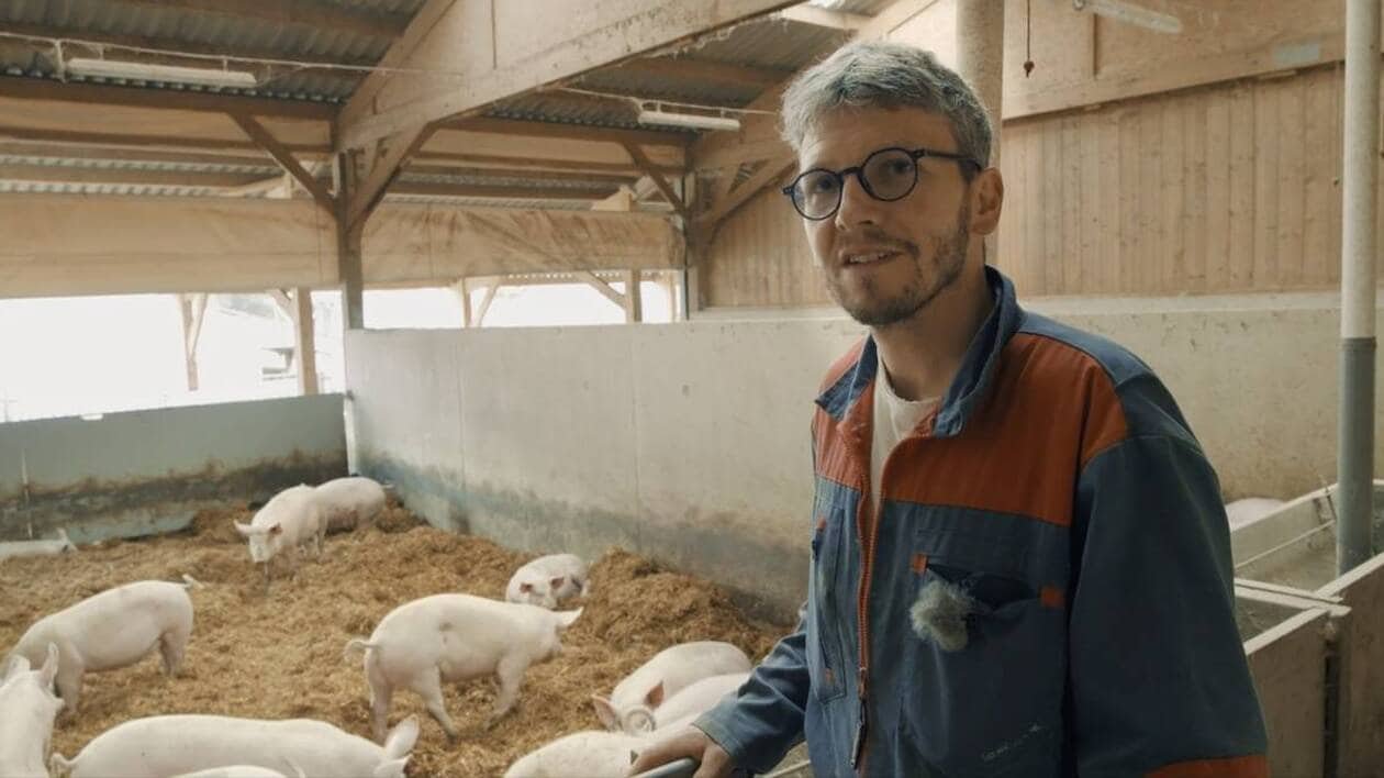 « Sur la paille », ce soir sur France 2 : le quotidien tourmenté d’un éleveur de porc bio breton