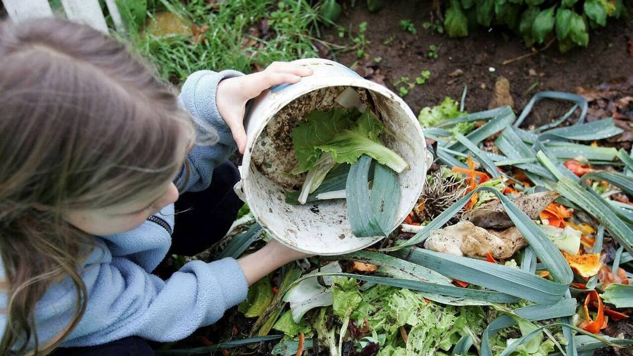Agriculture urbaine : la fin de l’euphorie en France