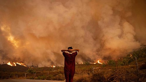 Maroc. Trois pompiers périssent dans un feu de forêt présumé criminel