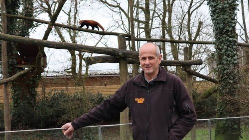 En Vendée, le Zoo de Mervent rouvre ses portes pour une quinzième saison