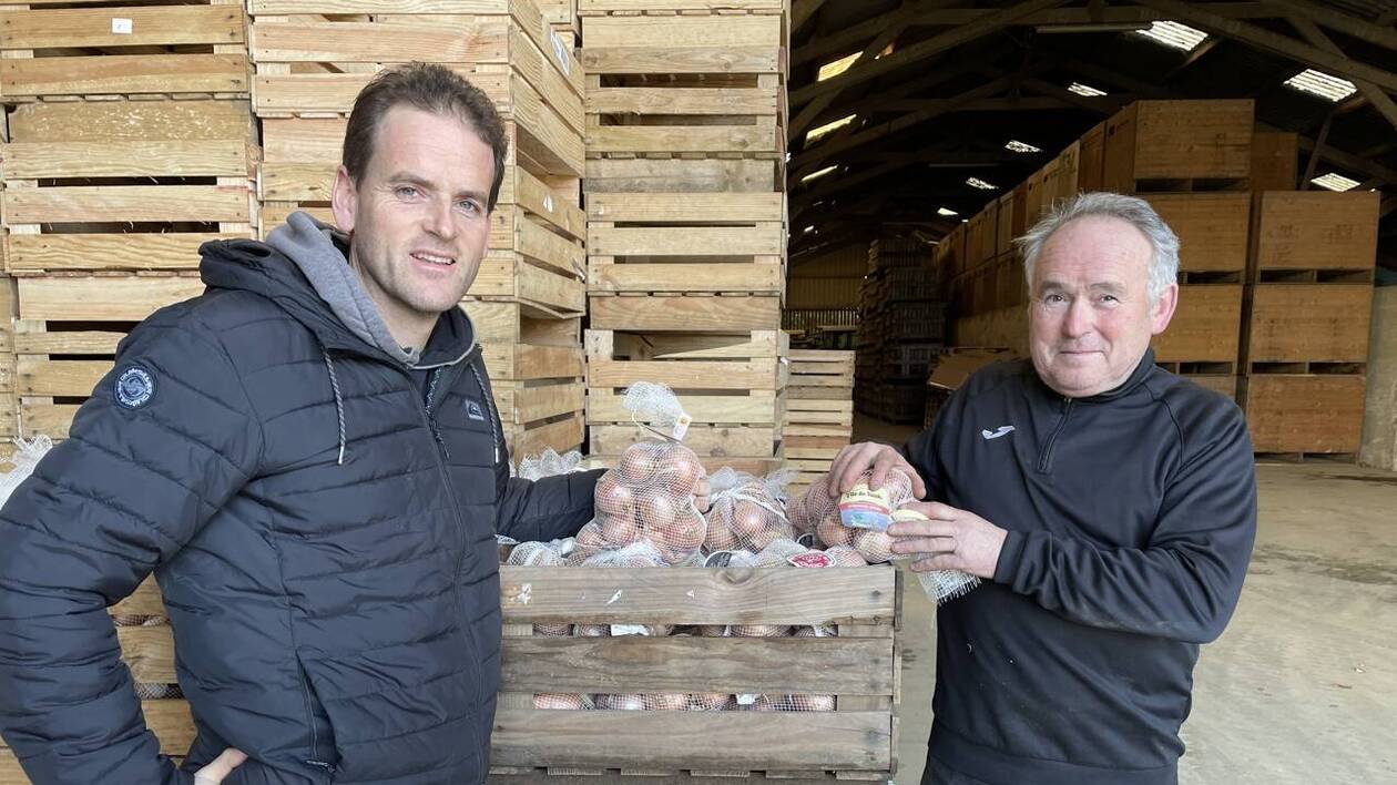 Avec leurs oignons rosés cultivés sur une île, ces agriculteurs vont «de la graine au consommateur»