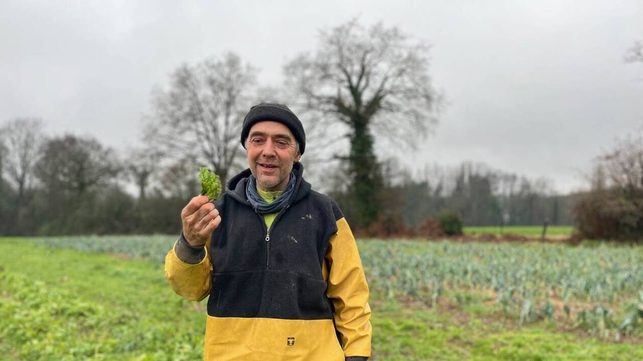 « Le système est devenu hors-sol » : directeur d’hypermarché, il devient maraîcher bio à 53 ans