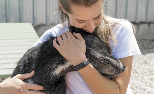 Mon animal de compagnie est-il sensible aux gros câlins que je lui fais ?