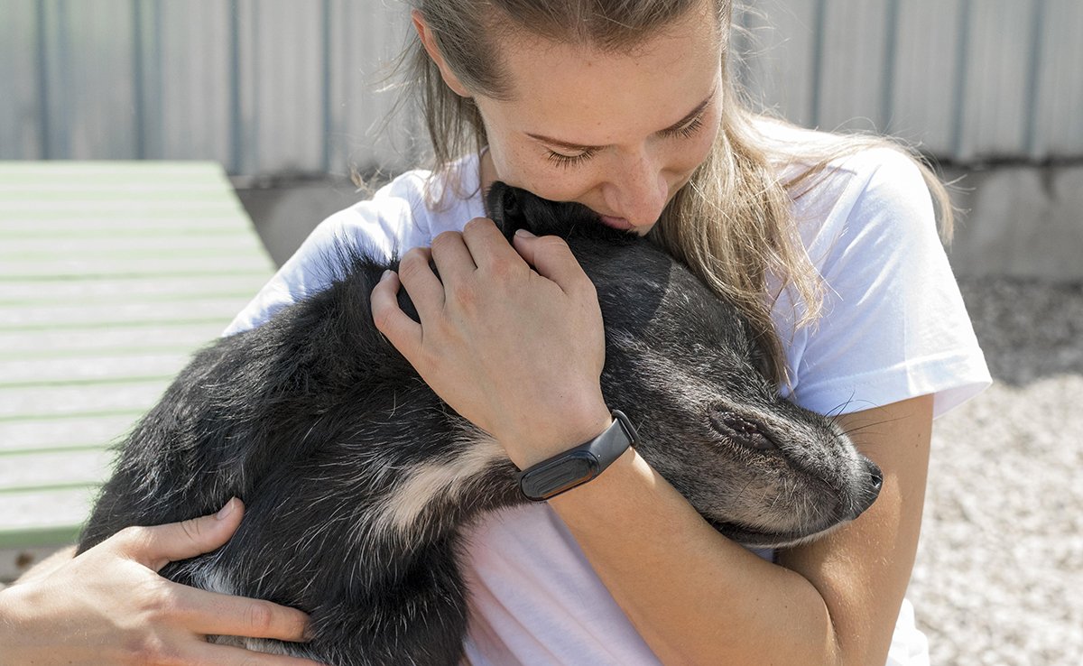 Mon animal de compagnie est-il sensible aux gros câlins que je lui fais ?