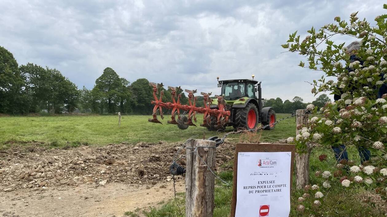 L’expulsion d’un champ vire au règlement de comptes entre frères agriculteurs en Normandie