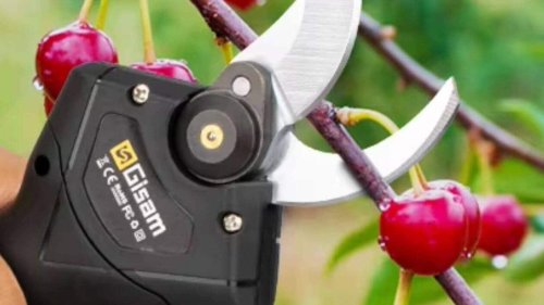 Ce sécateur électrique sans fil à prix découpé fait des heureux dans les jardins