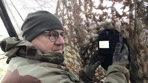 REPORTAGE. « Là, on entend un rouge-gorge » : une journée avec un photographe animalier en Mayenne