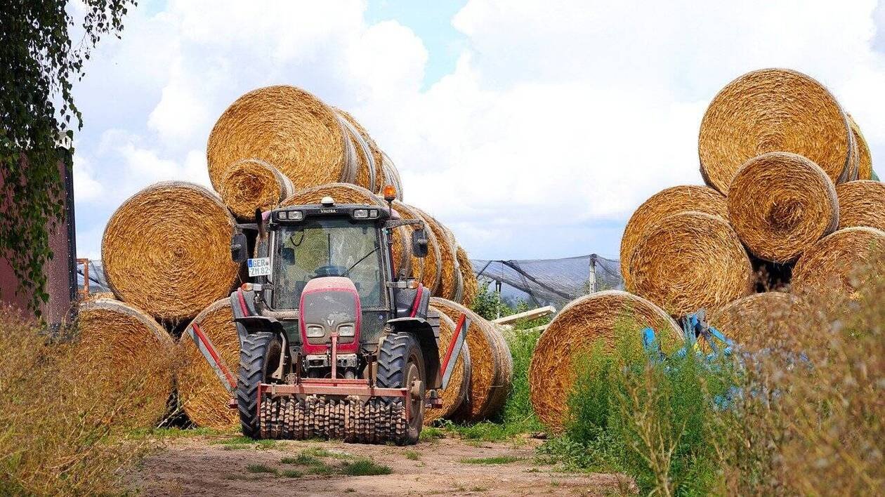 Il pensait sauver la ferme familiale : un retraité brise son rêve en surenchérissant in extremis