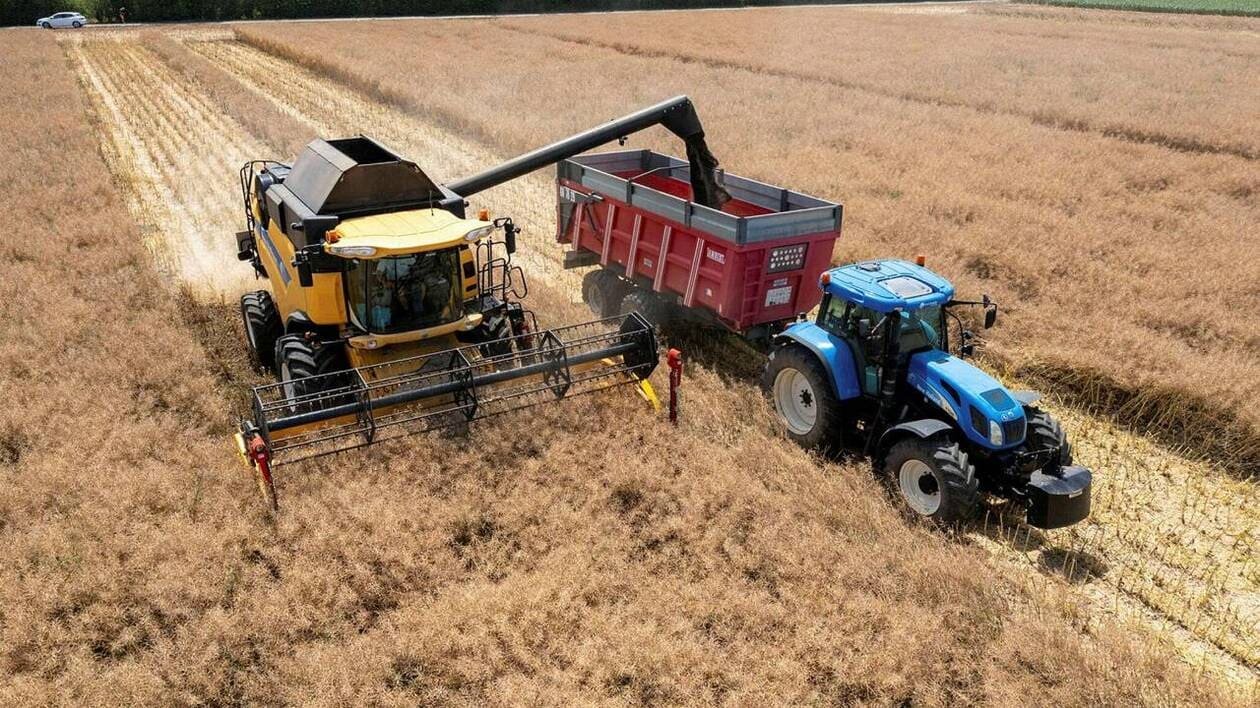 Blé, colza, orge, sarrazin… du pain sur la planche pour sécuriser les paysans bio