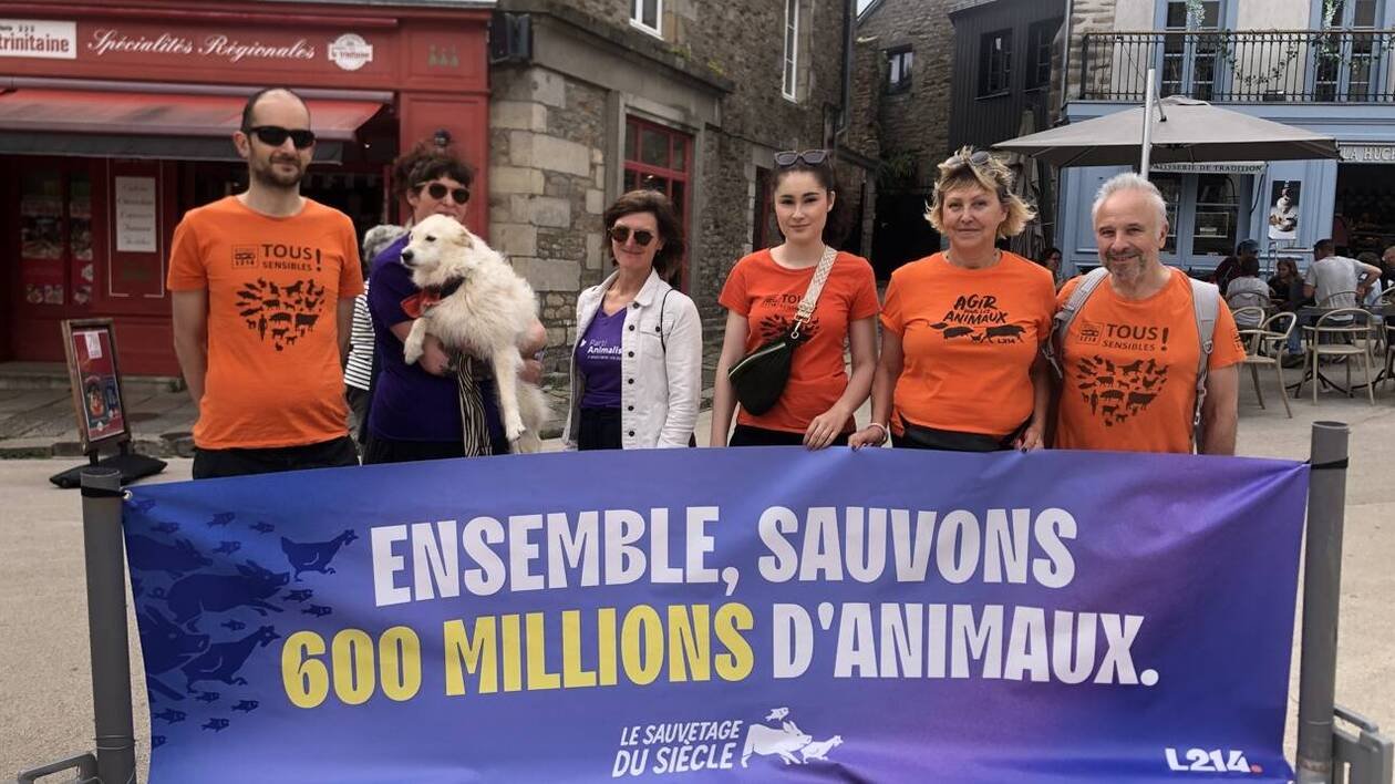À Vannes, L214 a sensibilisé sur l’élevage intensif des animaux destinés à l’alimentation