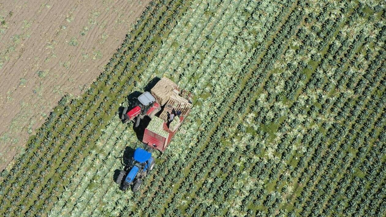 Pour défendre l’agriculture bio, ces paysans vont envoyer des colis de leurs produits à la ministre