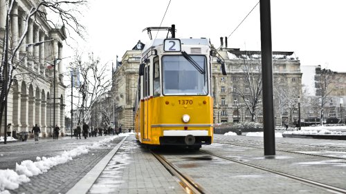 Job de rêve: l’Allemagne cherche de jeunes chauffeurs de tramway !