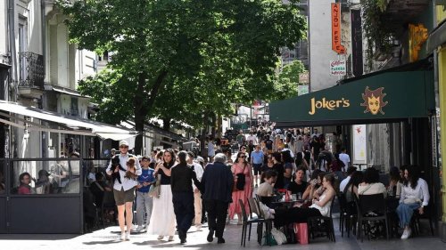 Un bar tous les 20 mètres : cette rue d’Angers est-elle devenue la « rue de la soif » ?