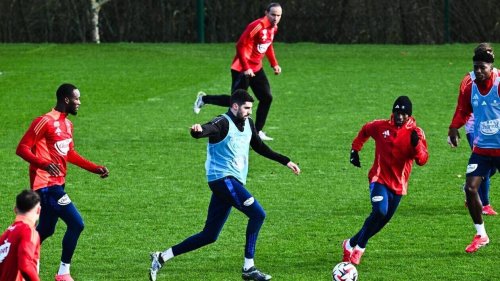 Stade Brestois - Stade de Reims. Les compositions probables