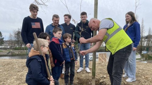 Ils replantent des arbres le long de la nouvelle rue d’Iéna, à Pontivy