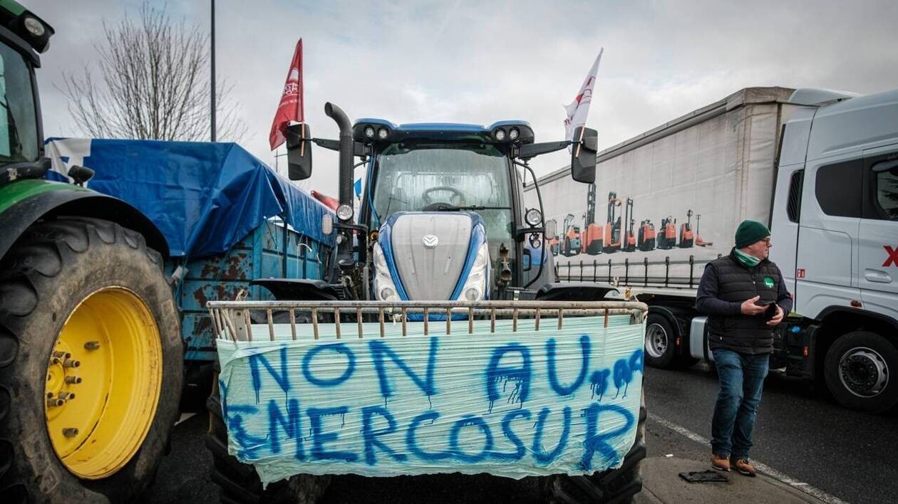 Des syndicats agricoles unanimes contre le Mercosur, pas forcément contre le libre-échange