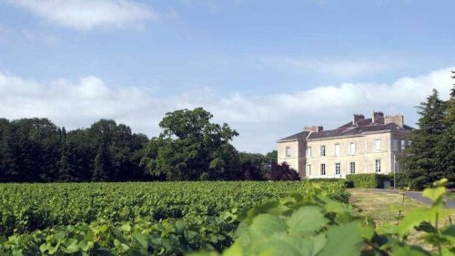 Bataille judiciaire entre le rosé et le champagne: la victoire d’une maison viticole, près de Nantes