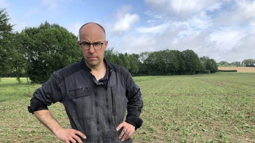 Orages en Mayenne : la FDSEA 53 et les Jeunes agriculteurs demandent des « mesures d’urgence »