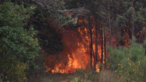 DIRECT. Incendies en Gironde : « de fortes suspicions » que la reprise soit d’origine criminelle