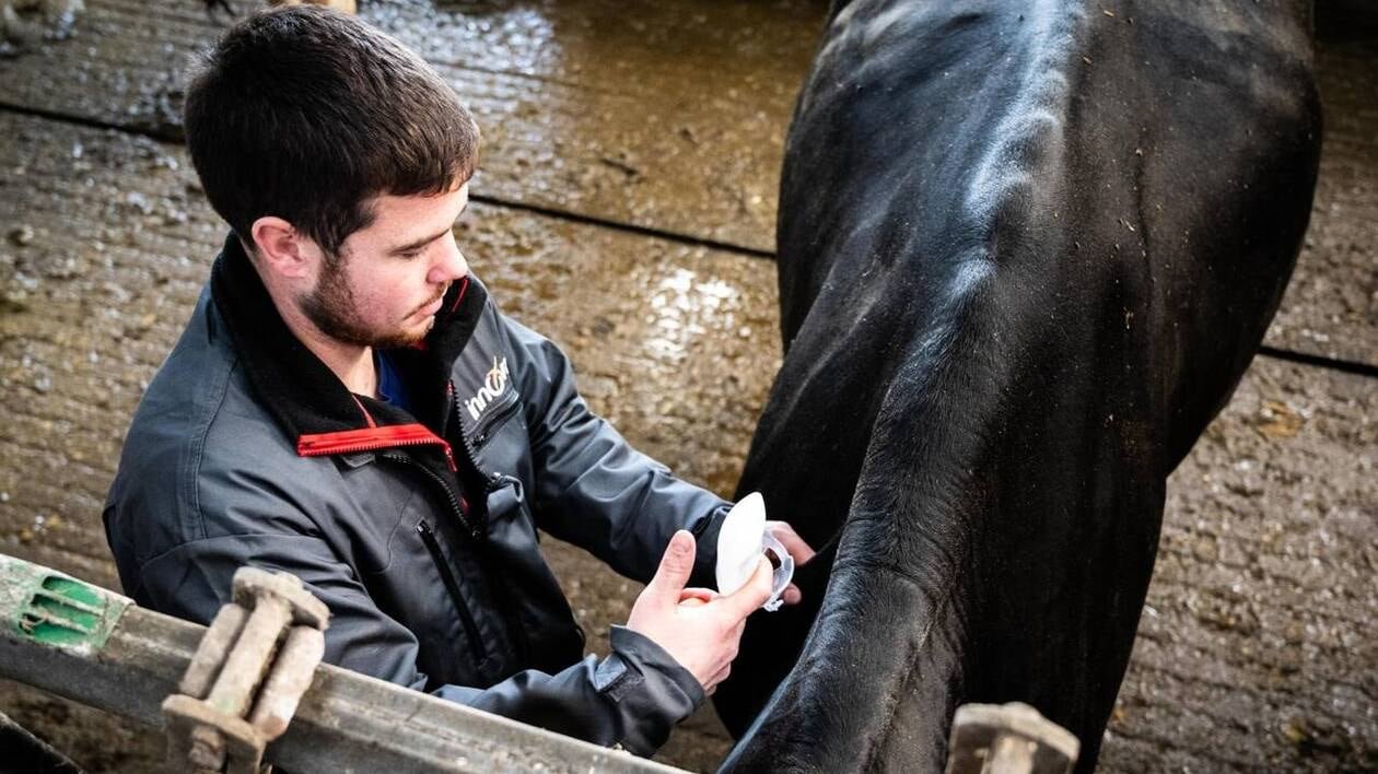 Maladies, climat, Europe… l’agriculture bretonne fait face à des vents contraires