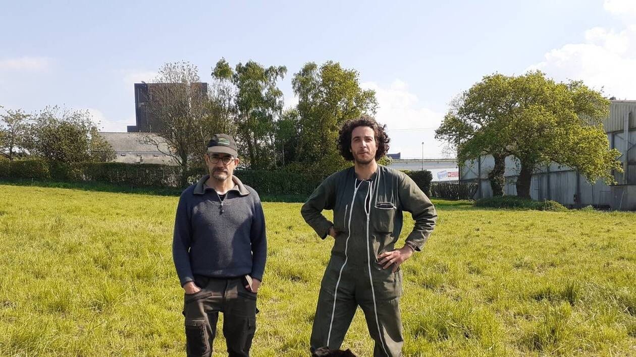 « Nous avons besoin de pâturages pour nos vaches » : le cri d’alerte de cette ferme en Bretagne