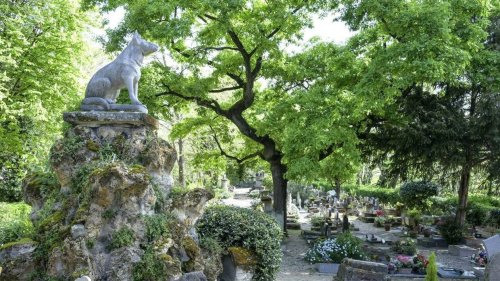 REPORTAGE. « C’est beau, paisible et plein d’amour » : au cimetière des chiens d’Asnières-sur-Seine