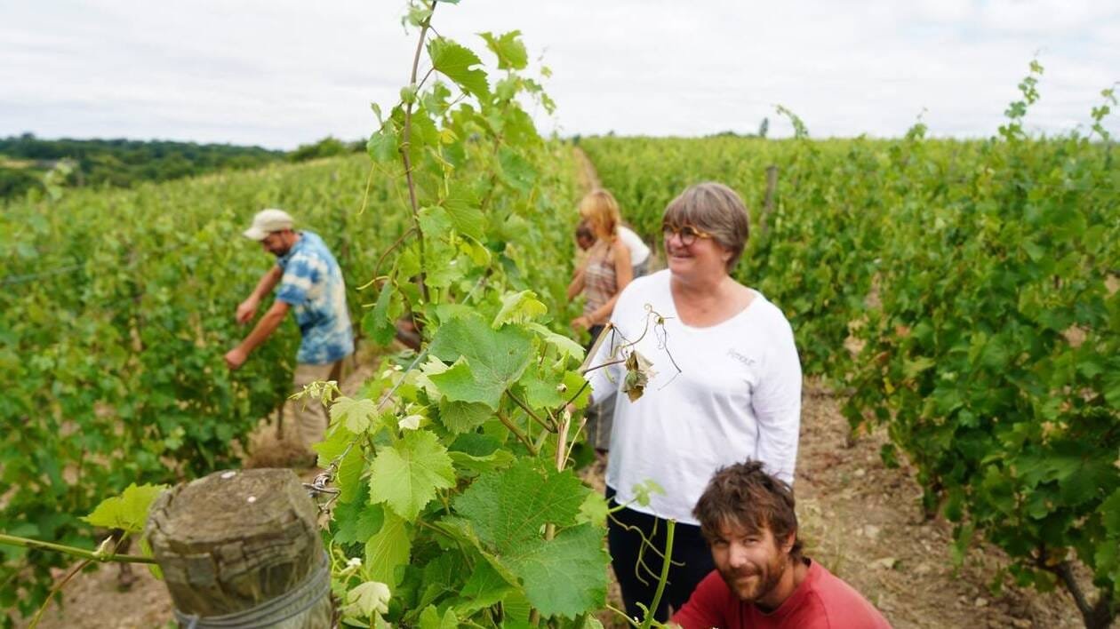 Dans ce vignoble historique de Maine-et-Loire, on trouve l’un des meilleurs vins du monde