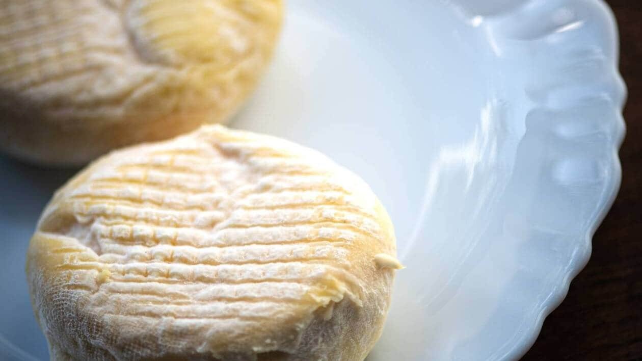 « Le résultat est incroyable » : et si le fromage breton de demain passait par le gwell ?