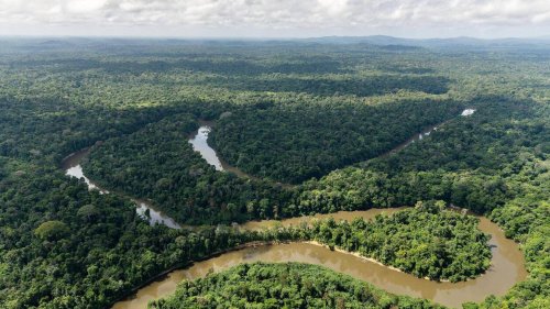 Guyane. Le permis de construire d'une centrale thermique validé en appel