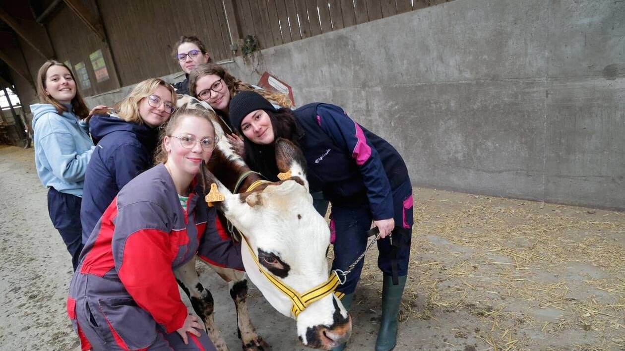 Que deviennent ces lycéennes qui emmenaient leur vache normande au Salon de l’agriculture en 2024 ?
