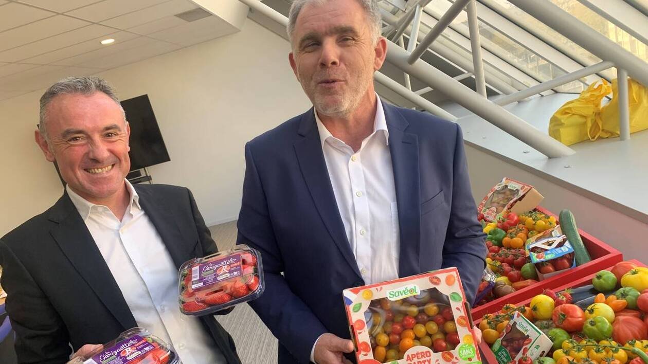 La coopérative Savéol veut croître et produire plus de tomates