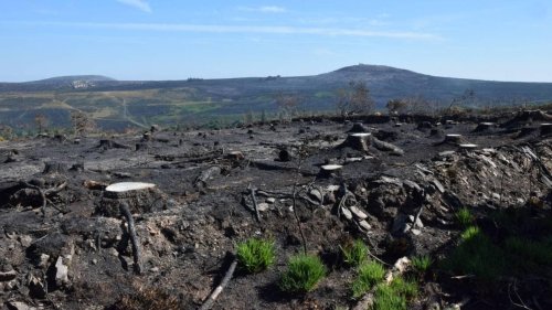 Monts d’Arrée, Morbihan… Le point sur les incendies de ce dimanche dans l’Ouest