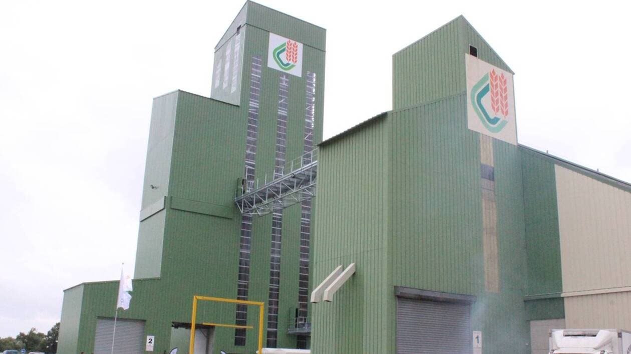 Dans le Bessin, la Coop de Creully, spécialiste du blé meunier, se diversifie avec la pomme de terre « fritabl