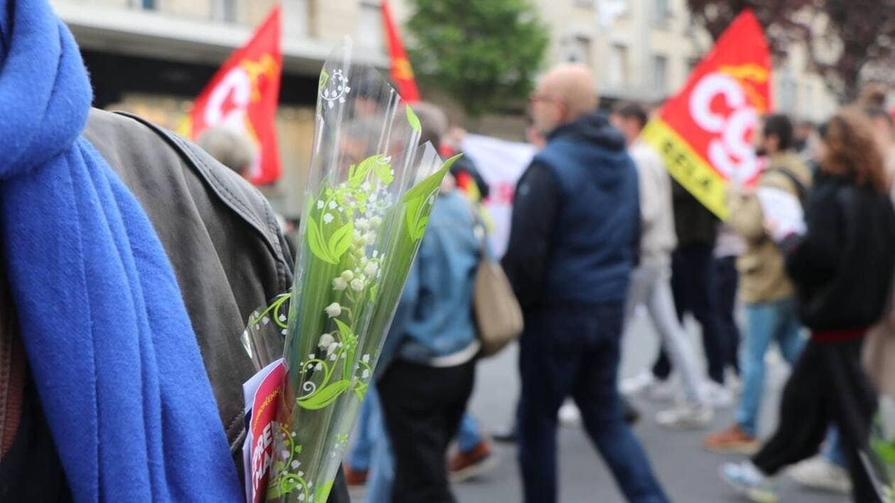 1er Mai. Où acheter votre muguet au meilleur prix ?