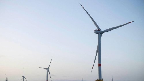 « Les pêcheurs du Finistère sont très remontés » : l’éolien en mer, enjeu d’avenir qui inquiète