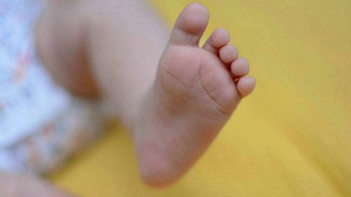 Un nourrisson de 5 mois meurt : le CHU d’Angers fait un signalement pour syndrome du « bébé secoué » | Courrier de l'Ouest