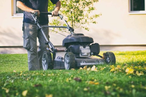 Notre guide pour réussir son mulching, cette technique de tonte qui nourrit votre pelouse